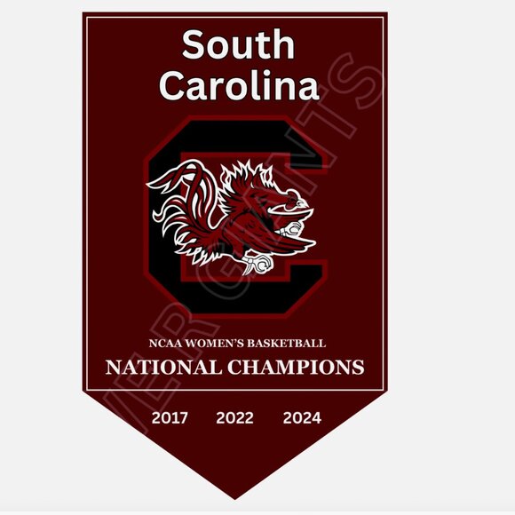 South Carolina NATIONAL CHAMPIONS Banner Art Print 11x17- March Madness, Champs - Picture 2 of 2